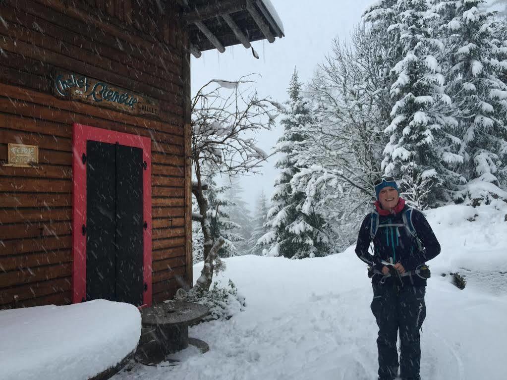 Chalet Heron Les Houches Exteriör bild